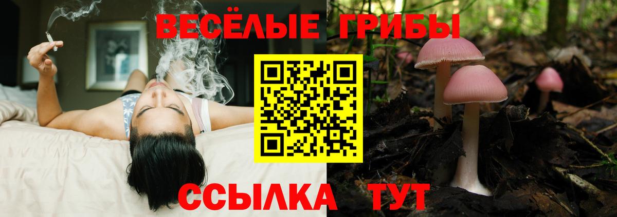 Галлюциногенные грибы ЛСД  Псилоцибиновые грибы Psilocybe  Вход с VPN  Лангепас 